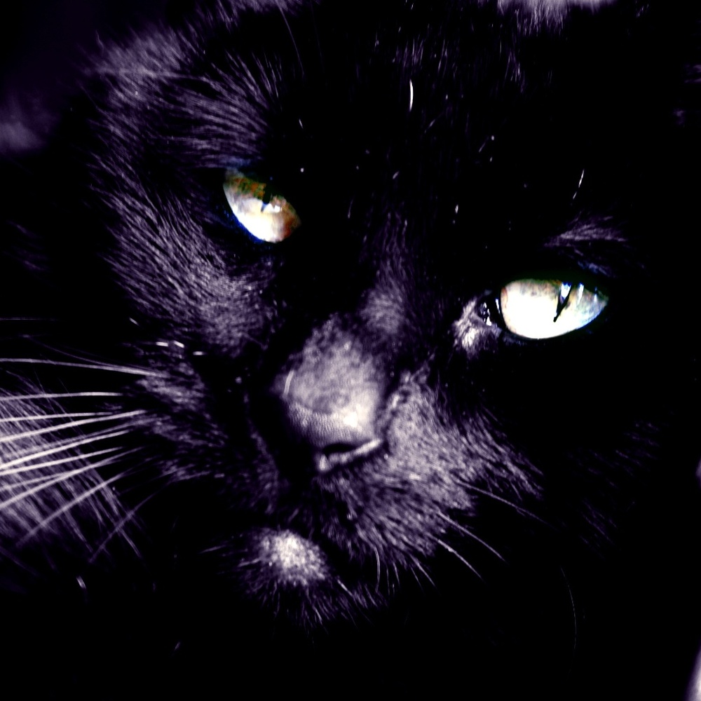 Bundle 3 items take 50% off your Entire Order!